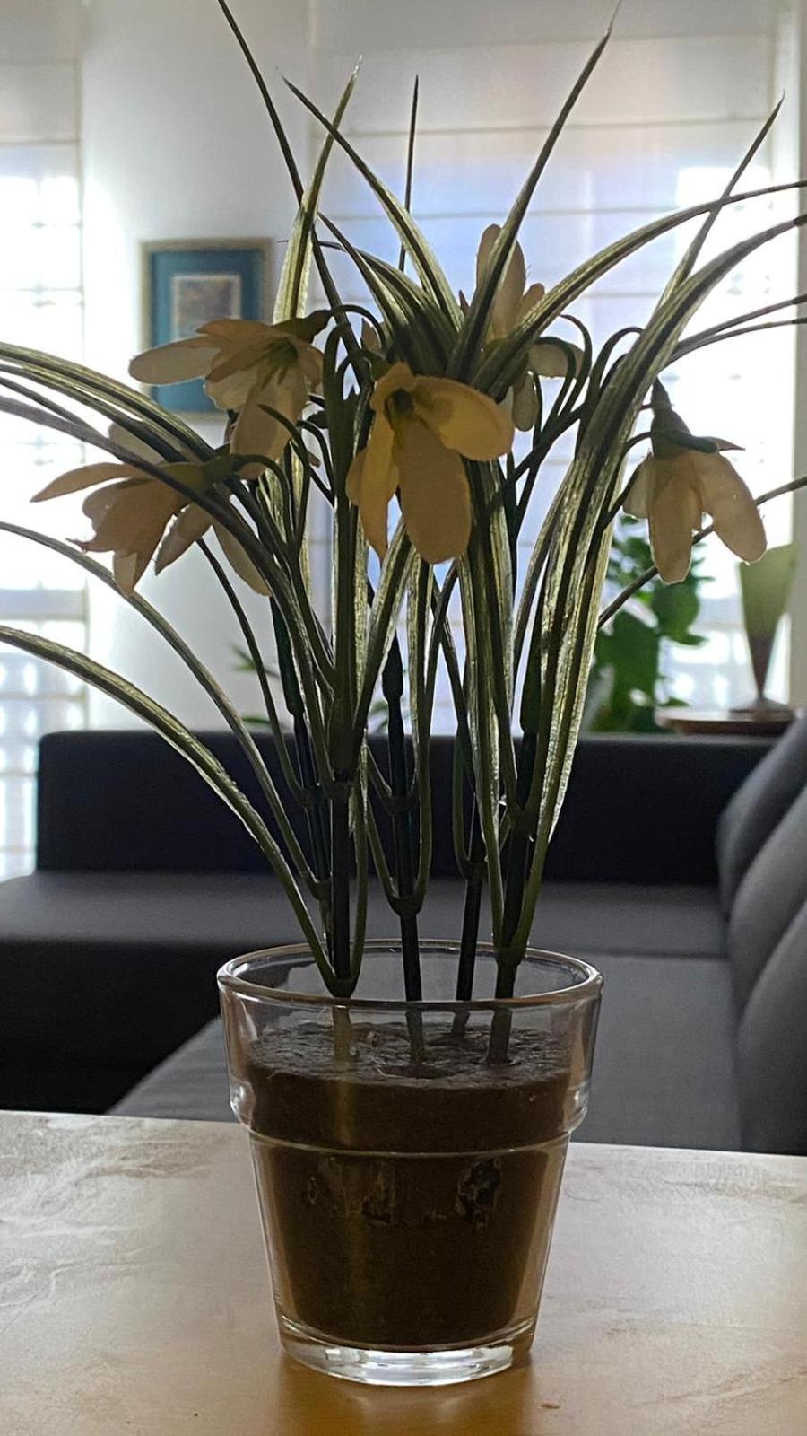 La Lana Apartamento サモラ エクステリア 写真